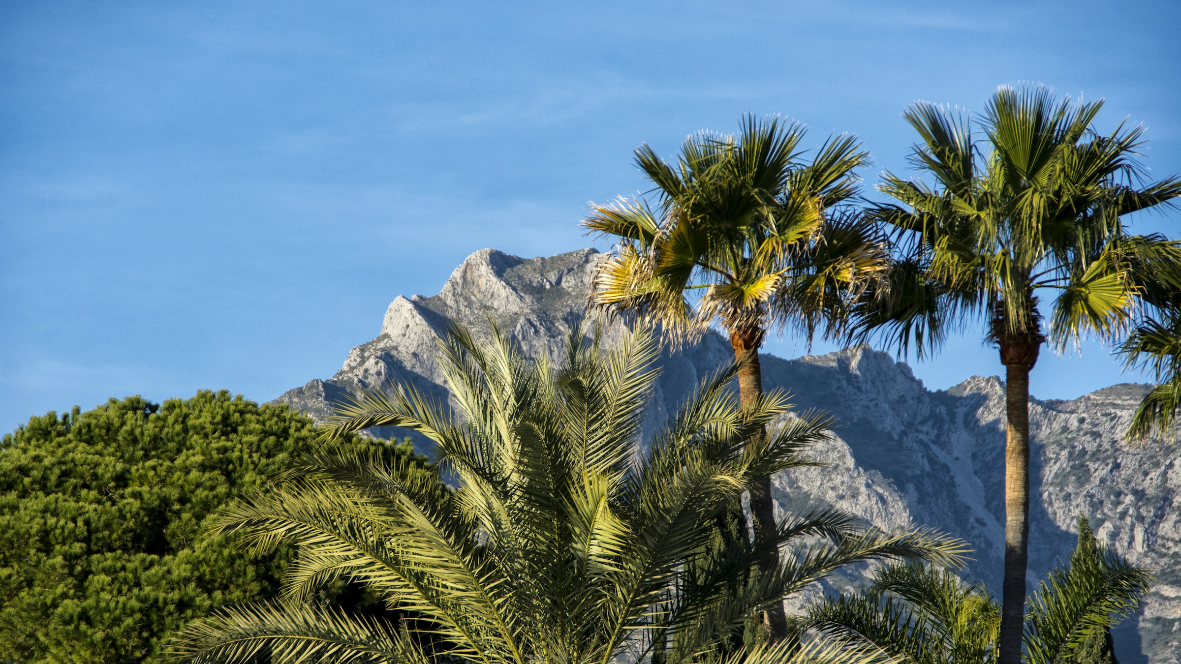 Nueva Andalucía, Marbella